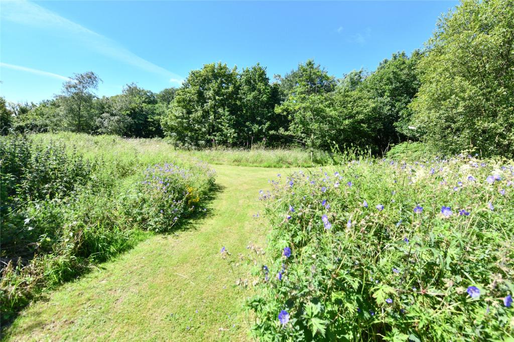 Wild Garden