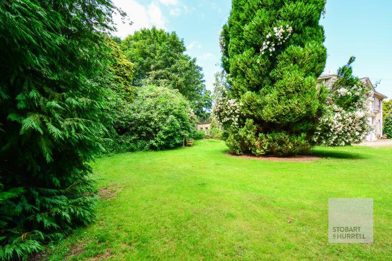 Communal Gardens 