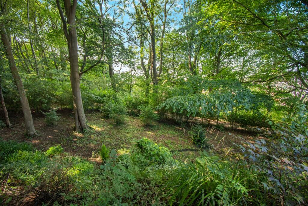 Woodland