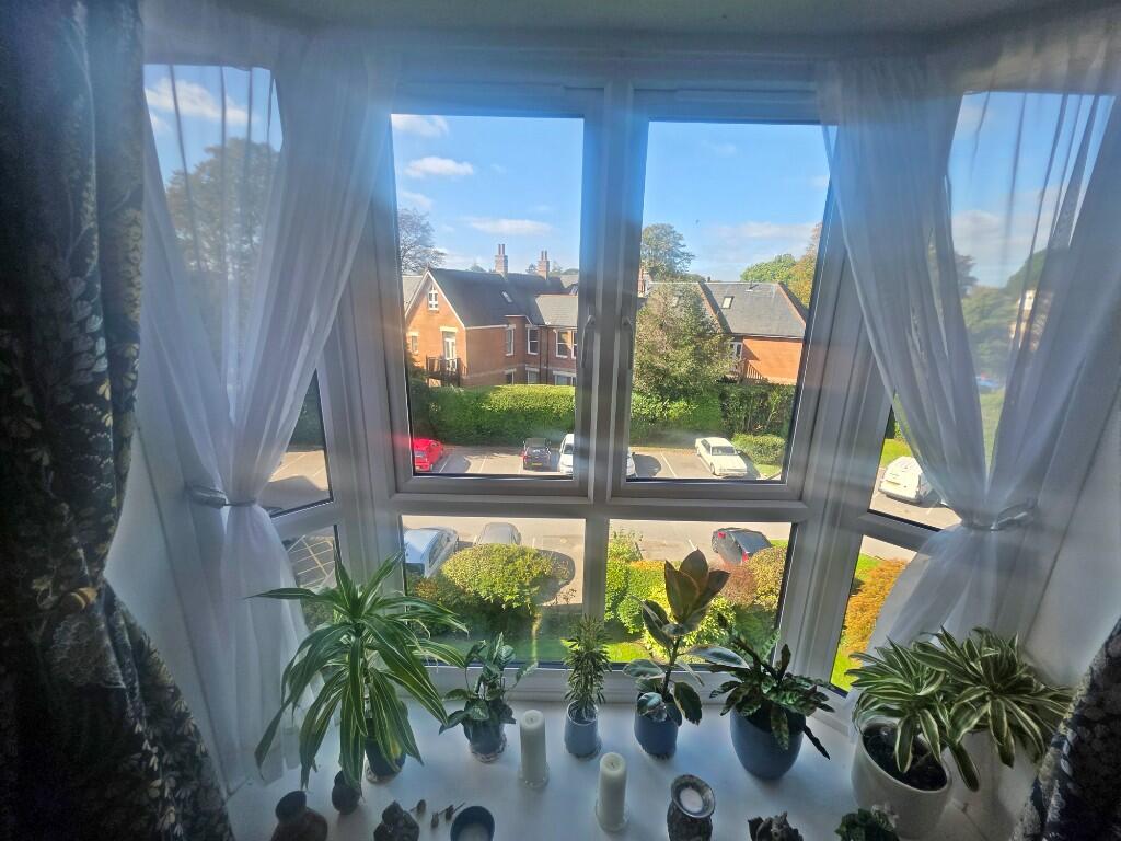 Feature Bay Window