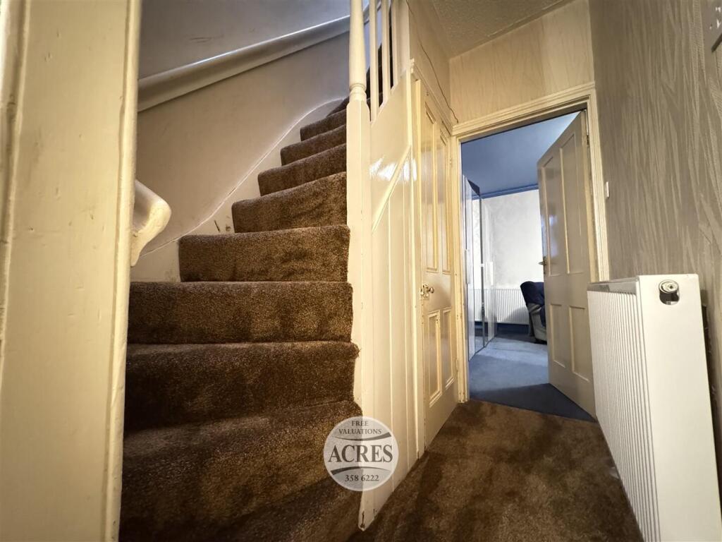 IMG_9635 (Large).jpg