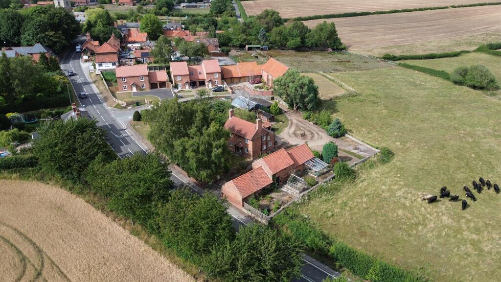 DJI_0262.JPG