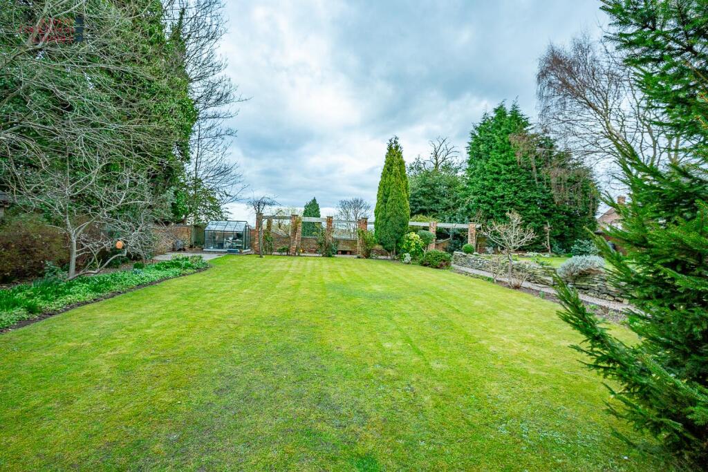 Back Garden