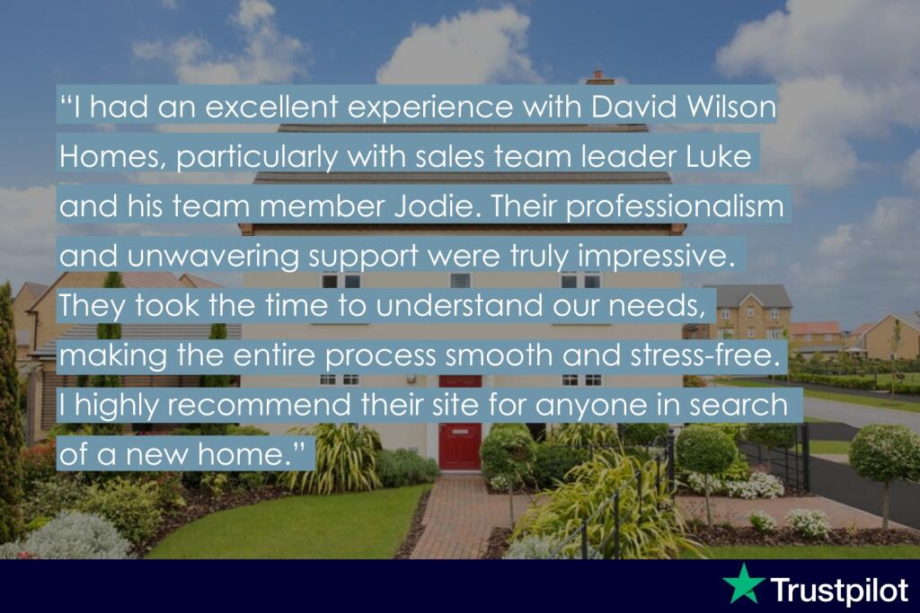 DWHWillowTrustpilot