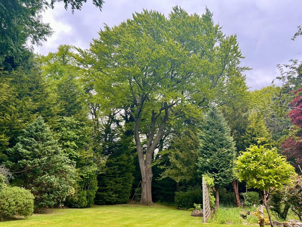 Gardens