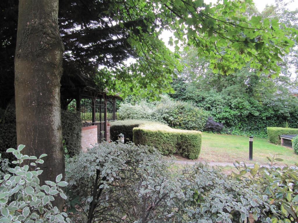 Communal Garden