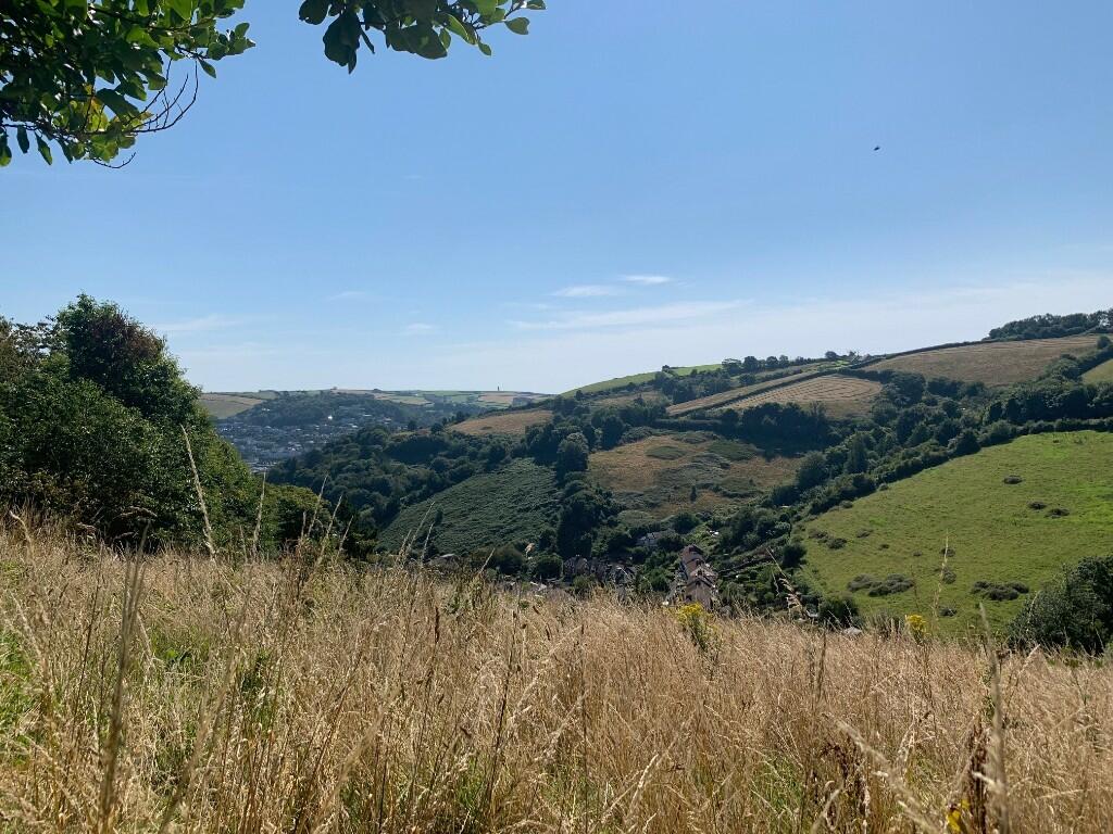 View over site