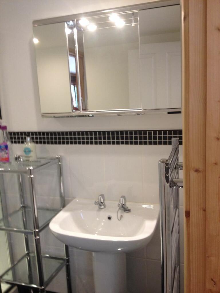 shower room in annexe