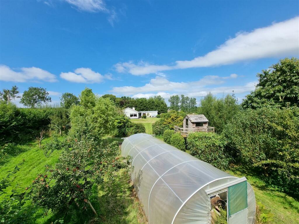 Garden.jpg
