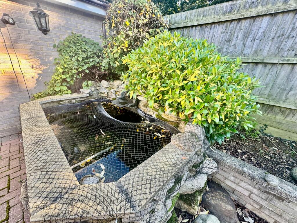 Featured Pond