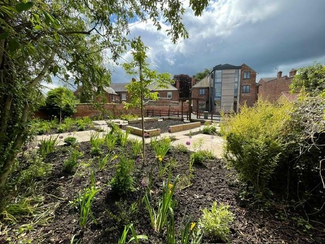 walnut otside new 6.jpg