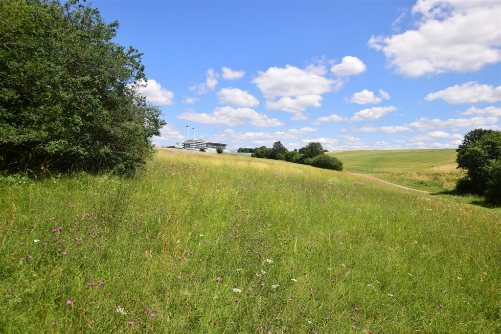Surrounding Area