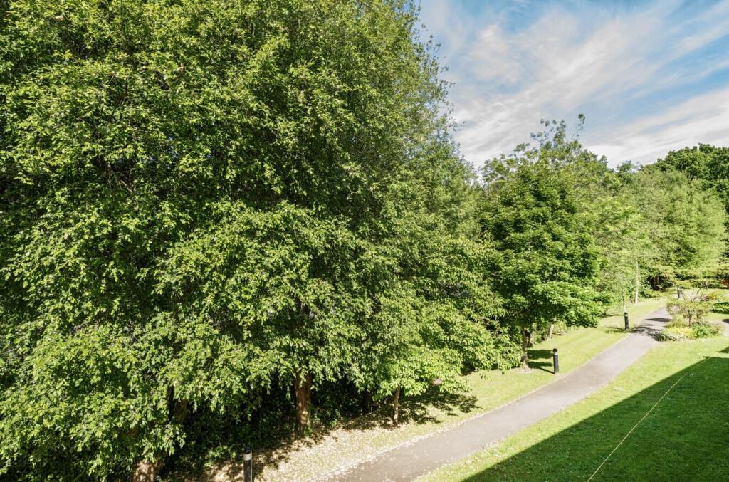 1297094-24-682c49f8217c6-ARW  10.jpg