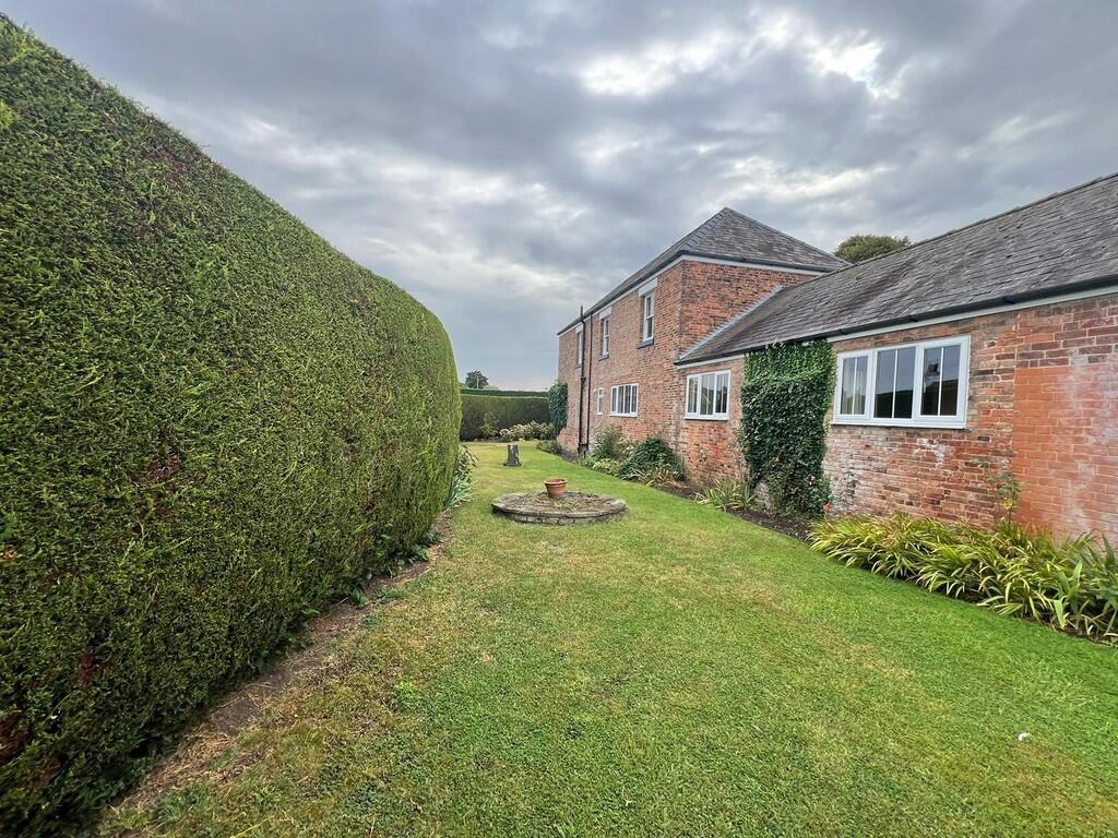 IMG-20240828-WA00...