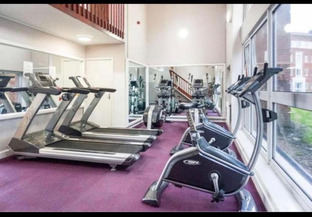 Modern gym with multiple treadmills and station...