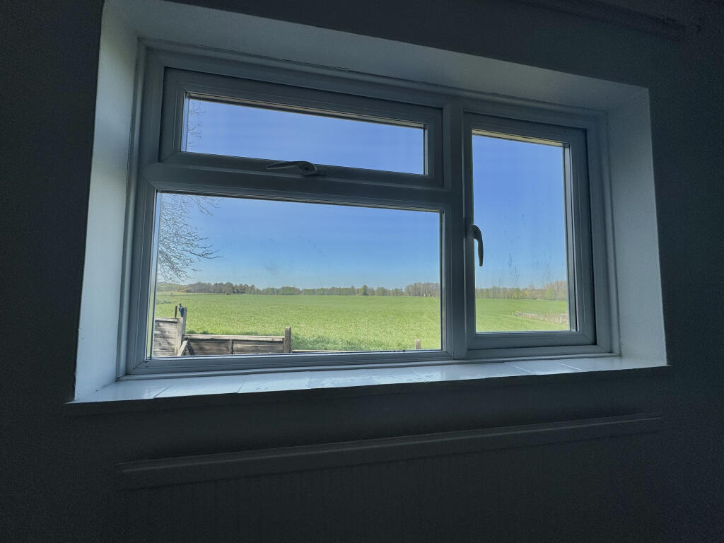 View From the Window