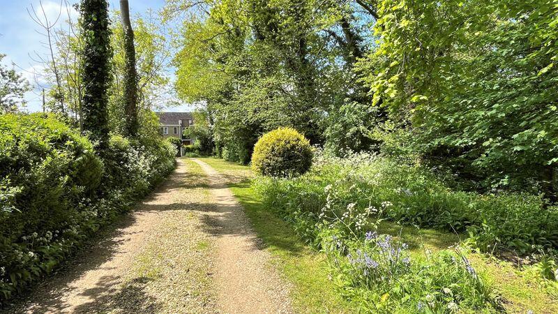 Driveway and Woodland Area