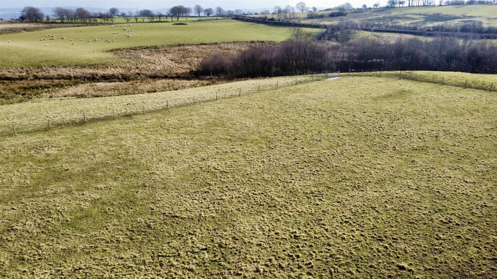 dji_fly_20250213_122650_162_1739454111304_photo_op