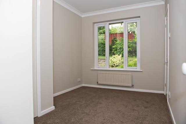 DSC_7718 as Smart Object-1.jpg