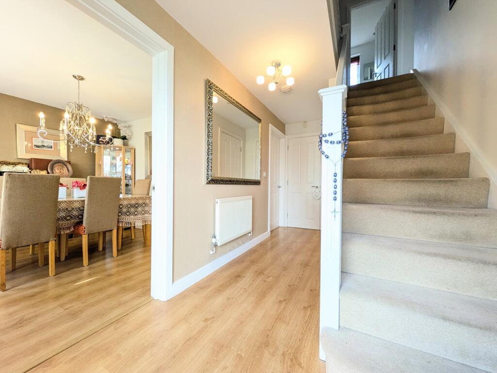 PXL_20250224_121819323~2