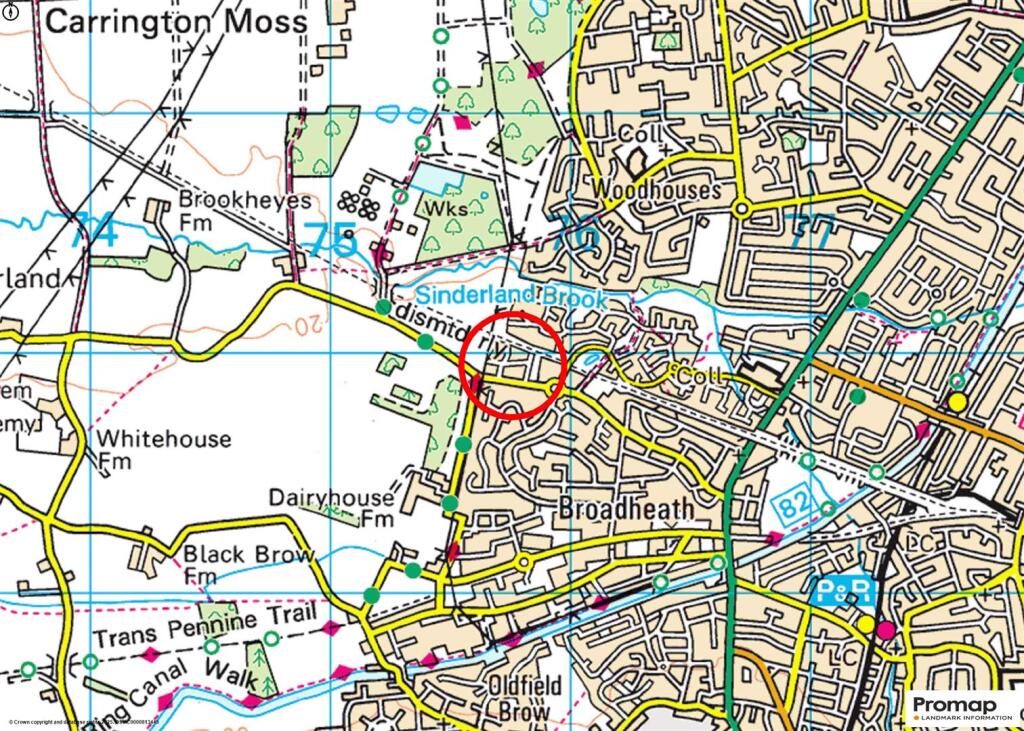 Town Plan