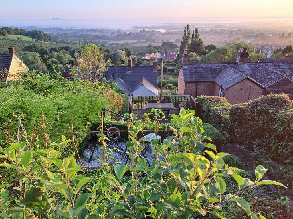 Summer view from the garden