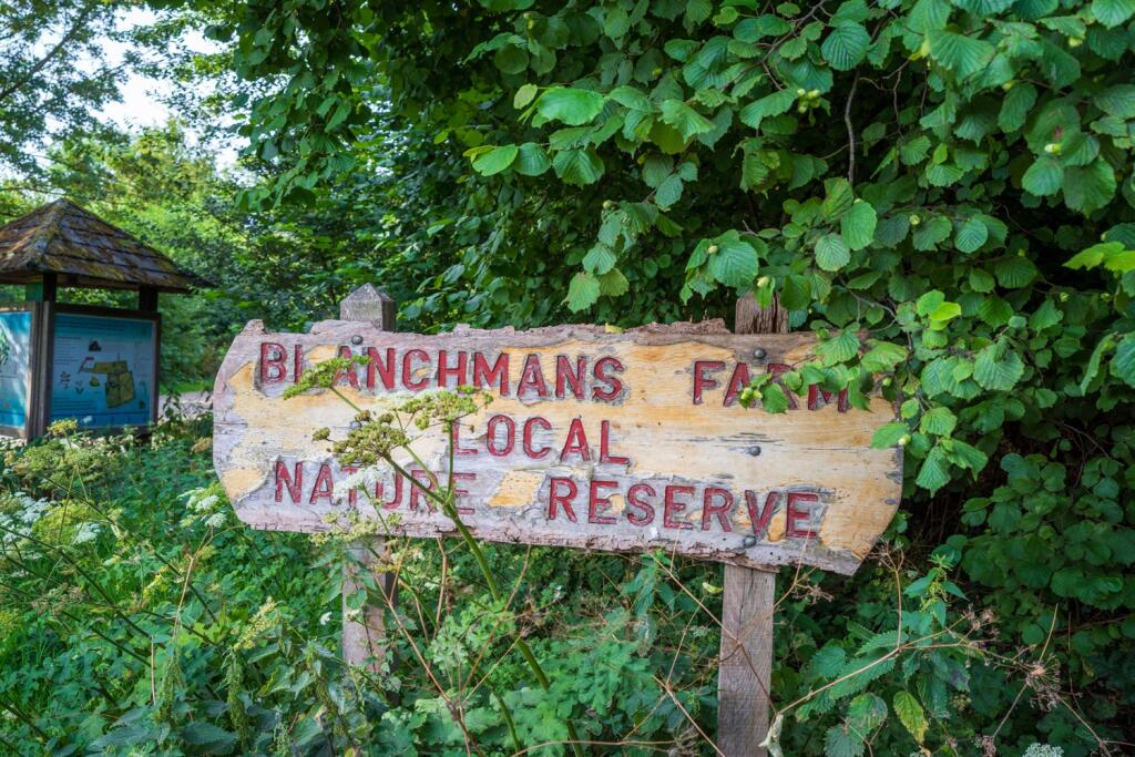 Nature reserve