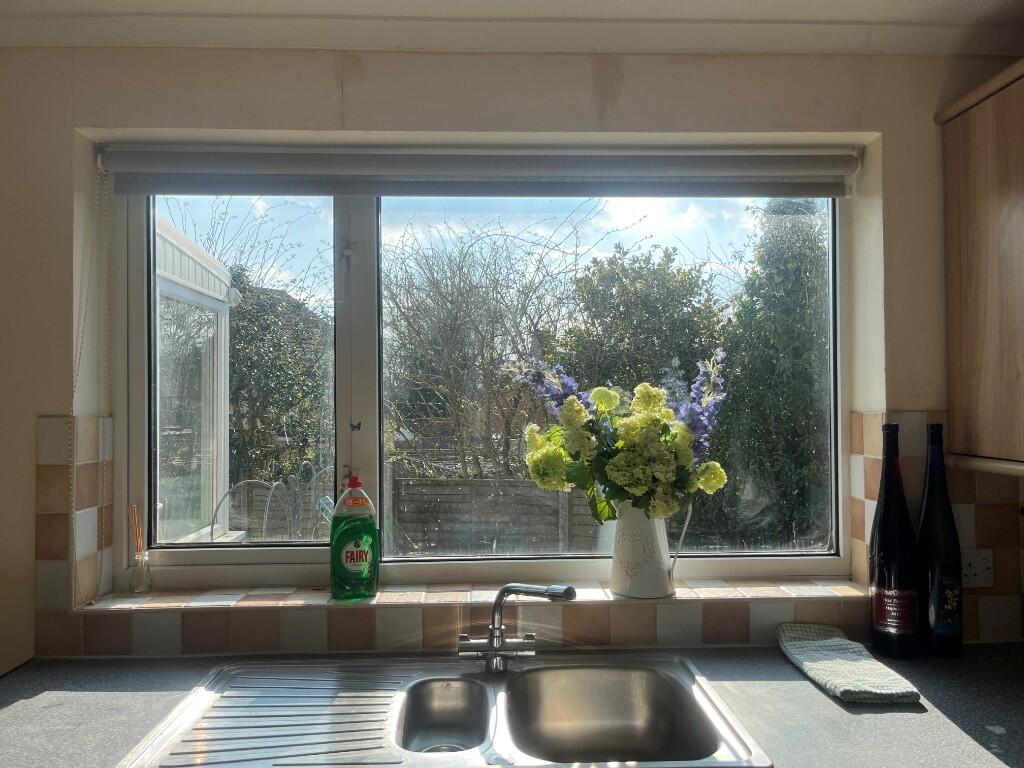 Kitchen window