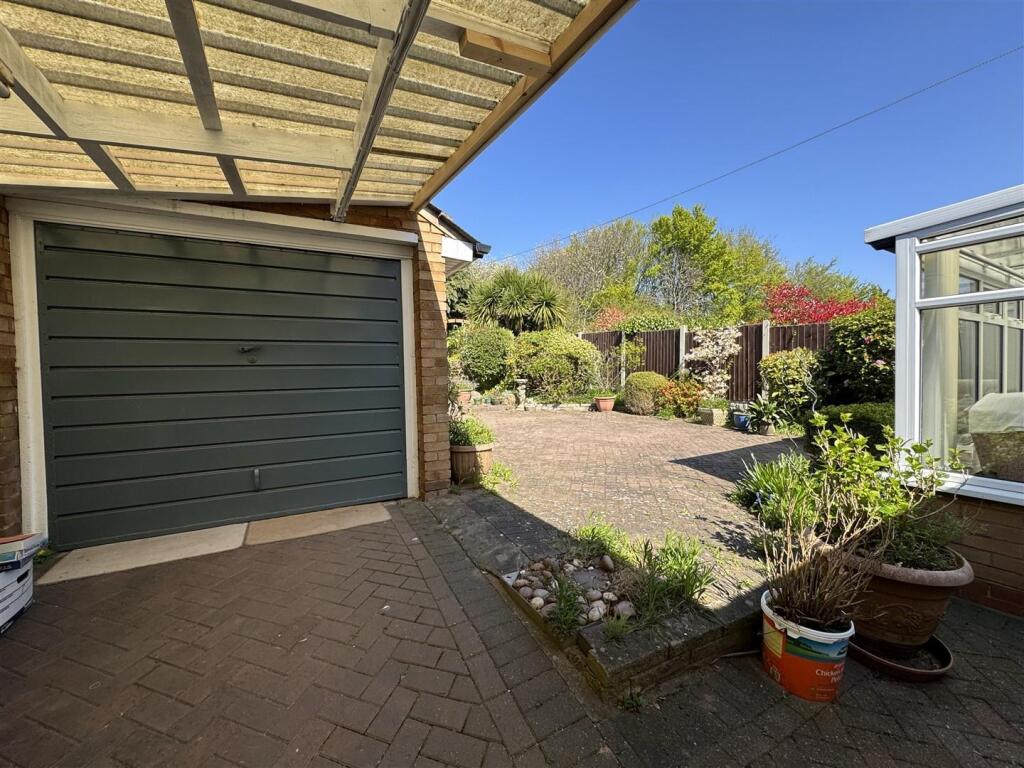 IMG_1260 (Large).JPG