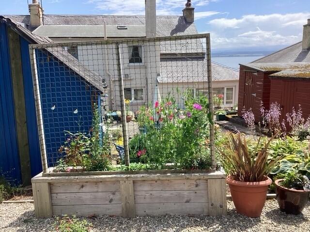 pic 3