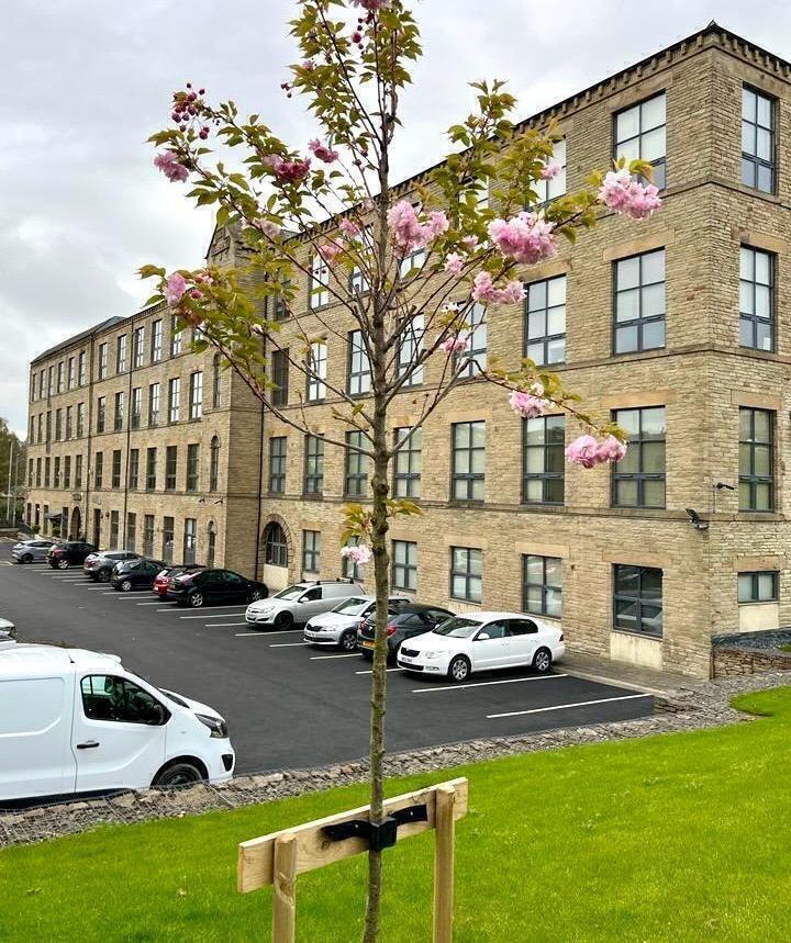 The Jubilee Mill