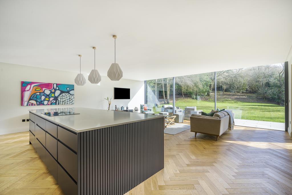 Reception Room / Kitchen