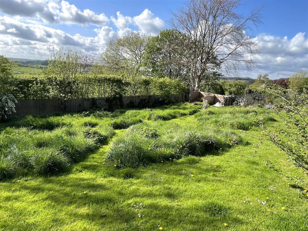 Wild Garden