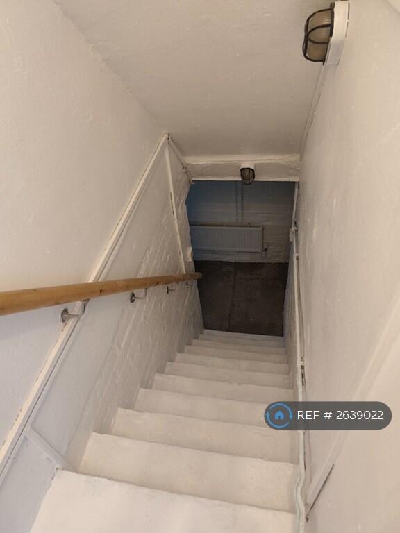 Cellar Steps