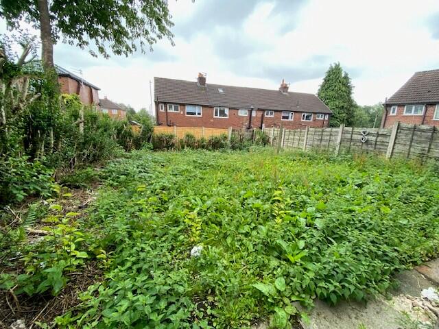 Rear Garden T202508221232.jpg