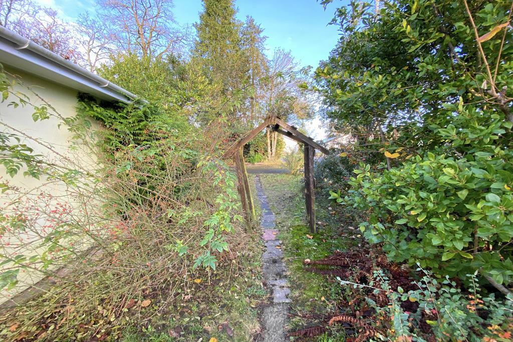 Side Garden
