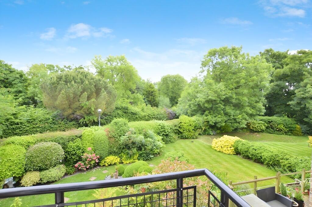 78abcc74-IMG_1779...