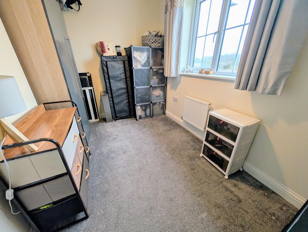 PXL_20250212_1131...