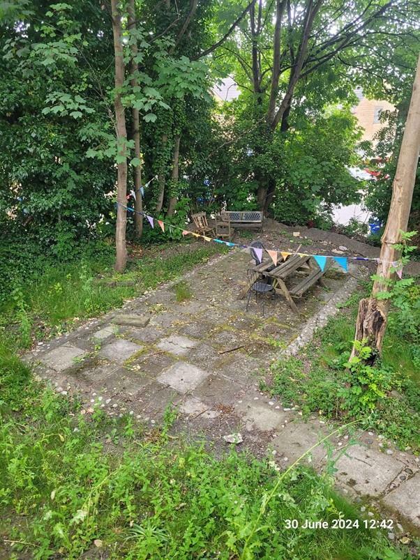 garden.jpg