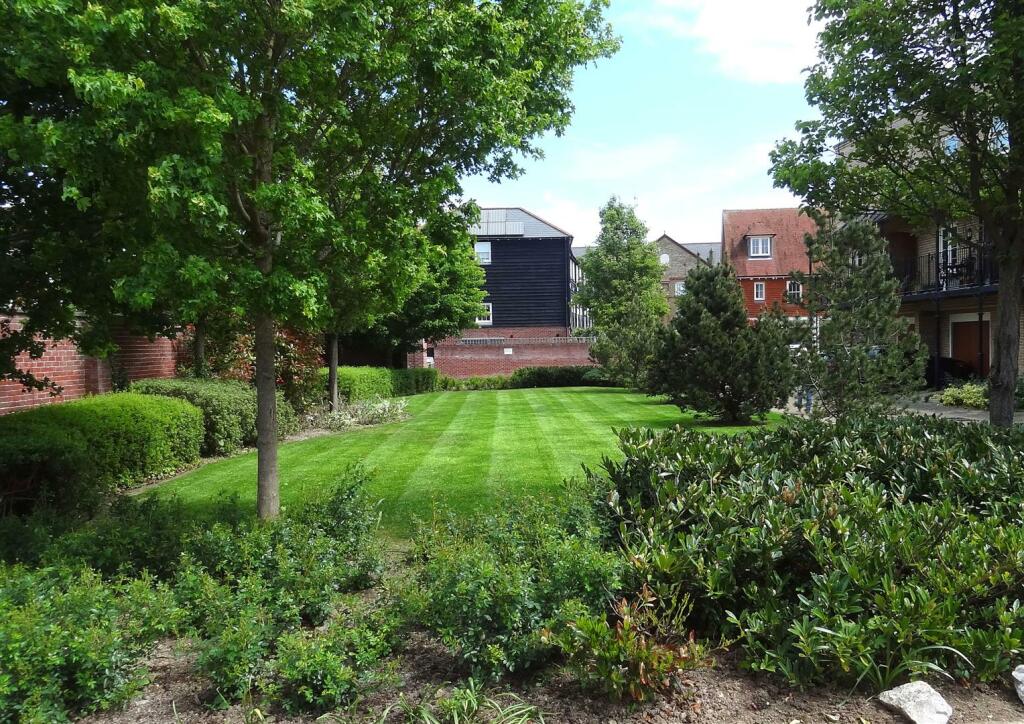 Outside Front lawn.jpg