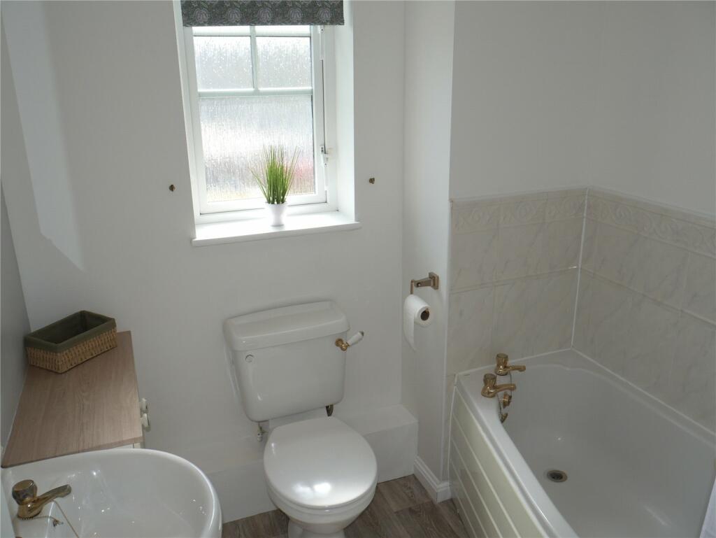 Picture 7