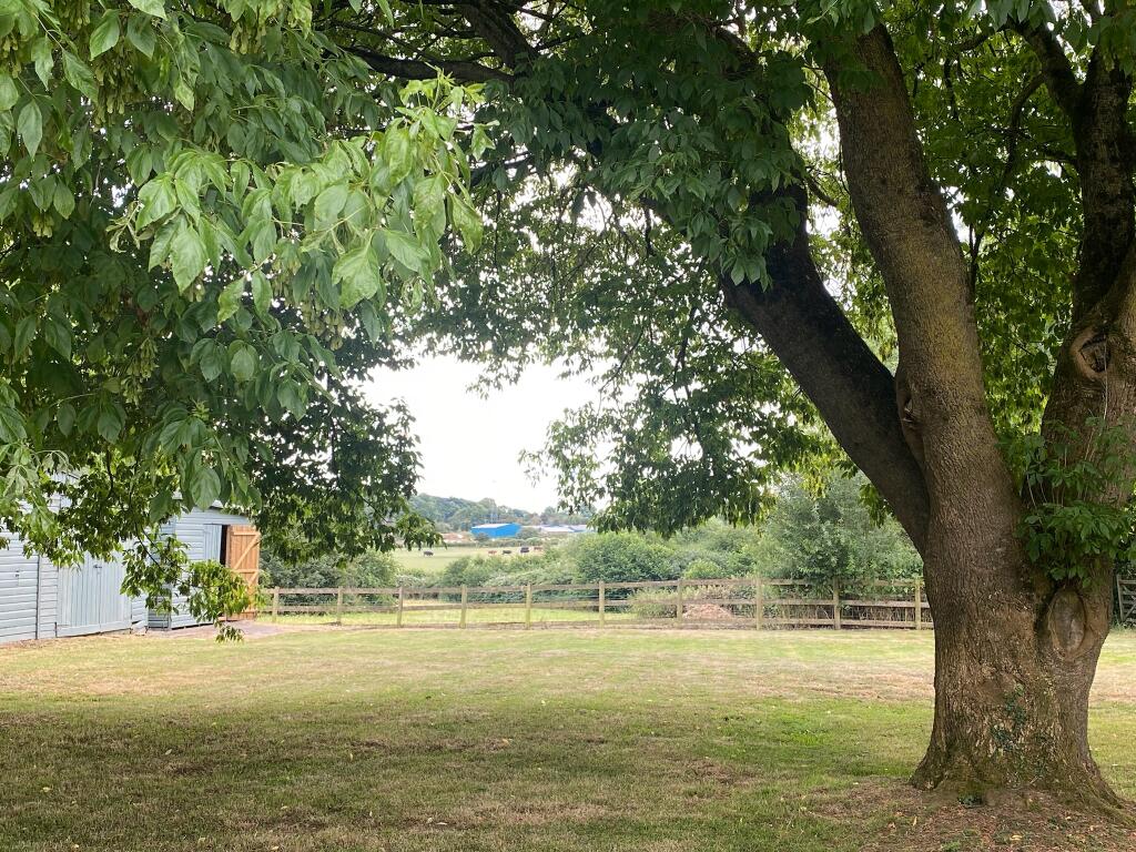 Garden and view