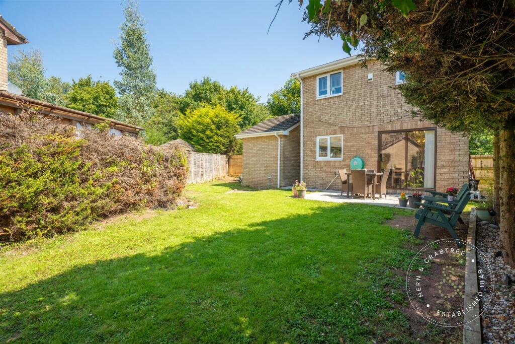 Meadowsweet, St Mellons, Hern Crabtree (31).jpg