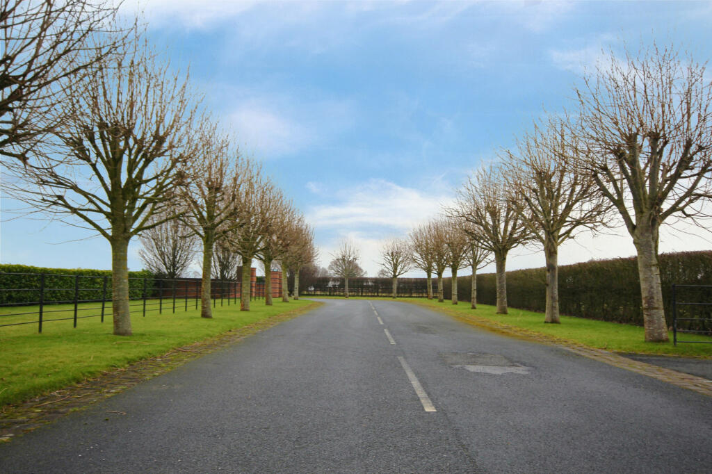 Lane 