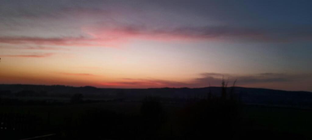 20250309_183105.jpg