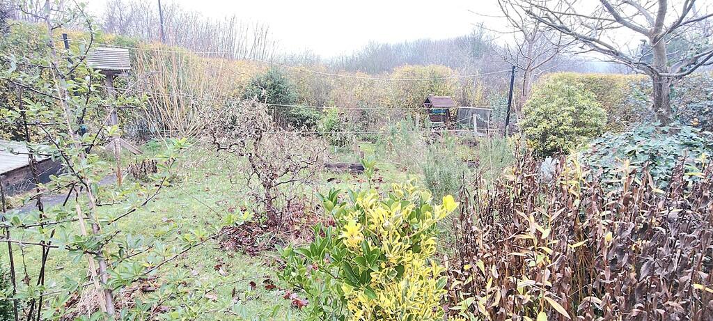 Garden 1