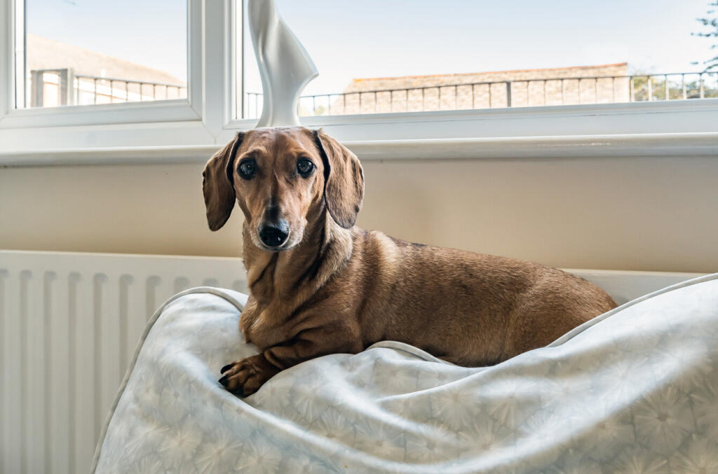 1372851-7-6900d47...