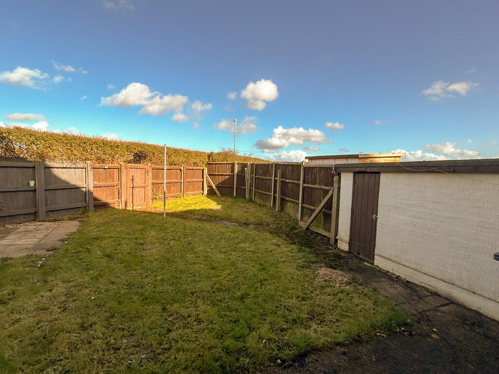 new garden 1