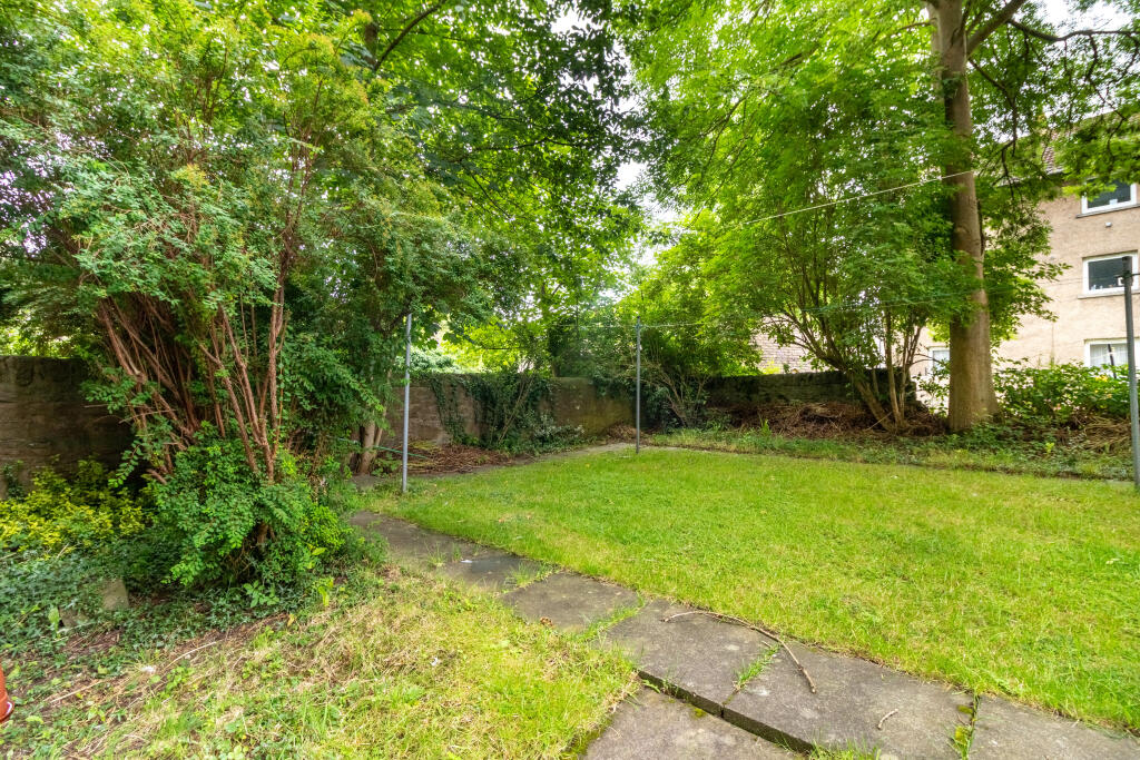 Shared Garden