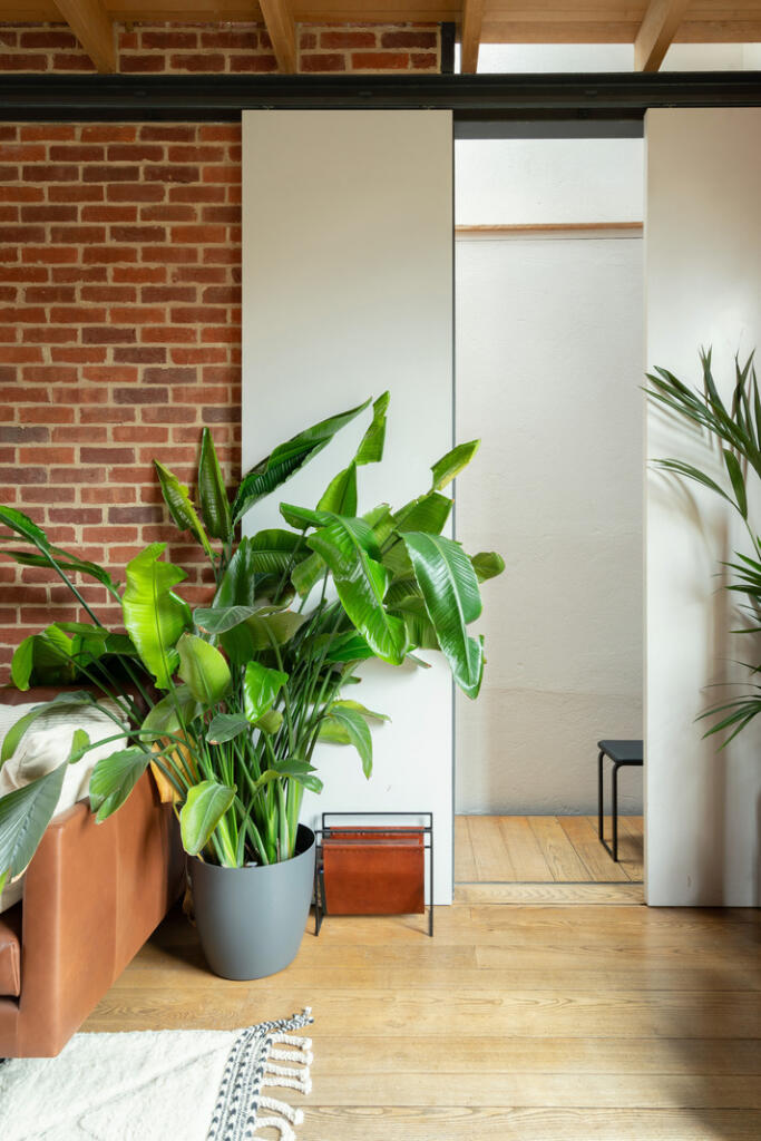 248931 - PRIORY-GROVE-2025-09.jpg